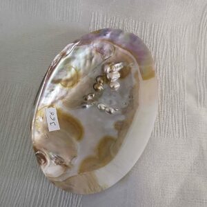 Coquille naturelle et perles d eau douce