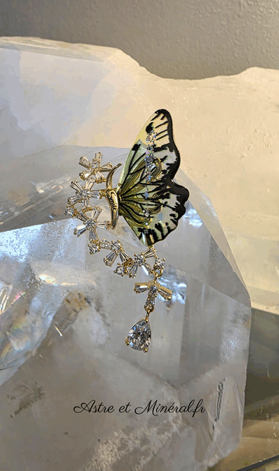 Papillon broche Fantaisie